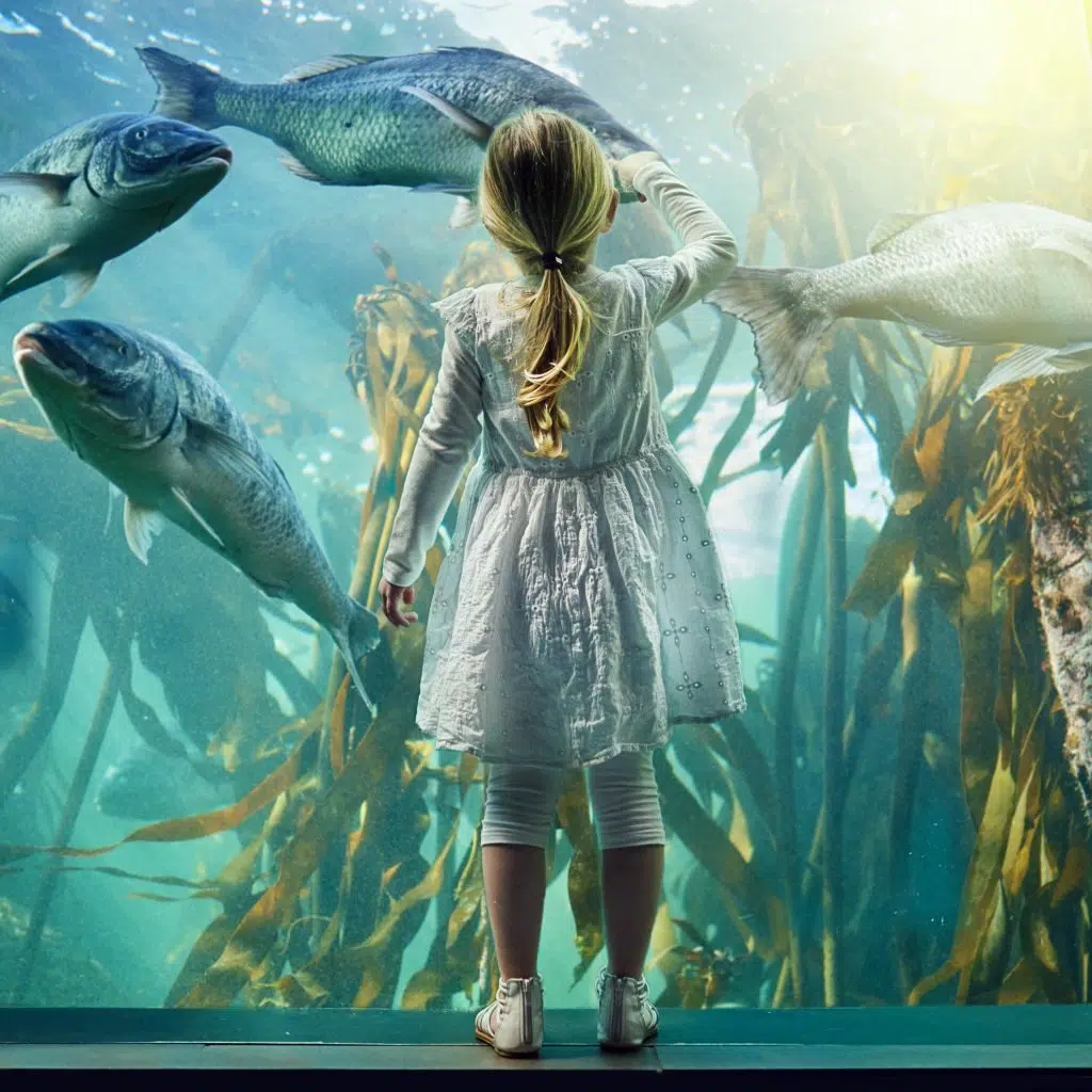 jeune fille blonde vue de dos devant un aquarium, montrant du doigt un poisson.